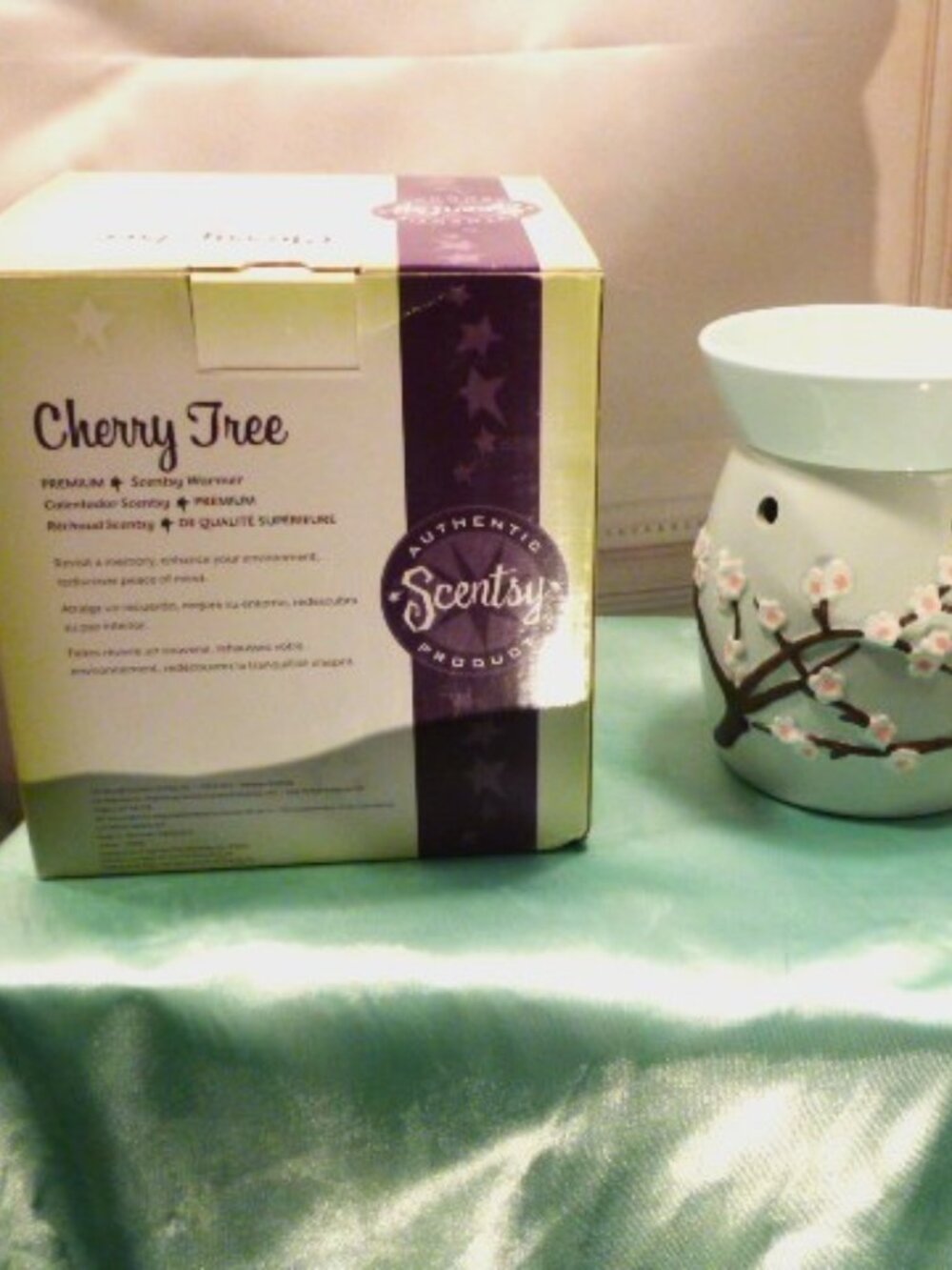 Scentsy Warmer